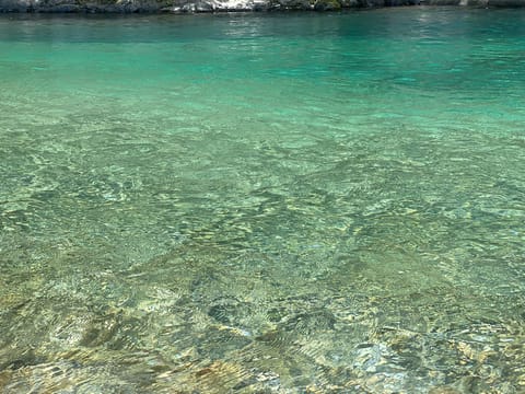 昨日まで頑張って今日はやっとお休み🌙*ﾟ
夏恒例🌻友達と泳いできました🌊
水が気持ちよすぎで浄化された…✨️
 ︎︎