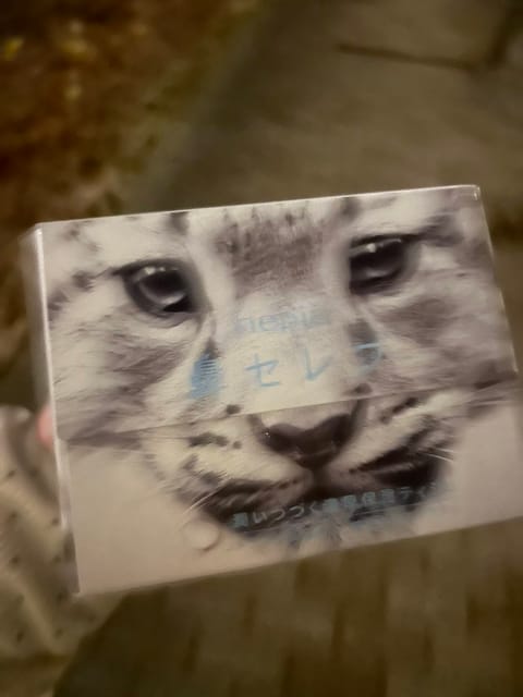 にゃーにゃー調達してきた
鼻と喉がご臨終すぎる(=^x^=)★