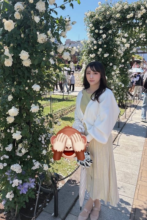 横浜は薔薇ˑ ִֶ 𓂃⊹ 🥀 ⋆ ˚｡
満開です❣️