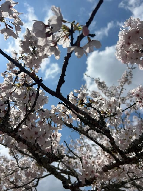 今日も満了ありがとうございます〜〜🩷✨
次は11日土曜日です🌸🌸
ご予約お待ちしていますね〜！！