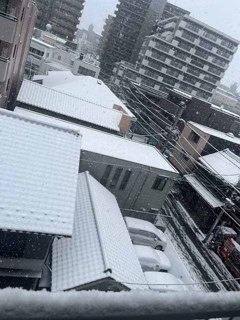 今日の川越は雪景色とってもキレイでした❄️
そして寒い中お越し頂きありがとうございました🥹❄️❄️
お土産嬉しい、袋含め
