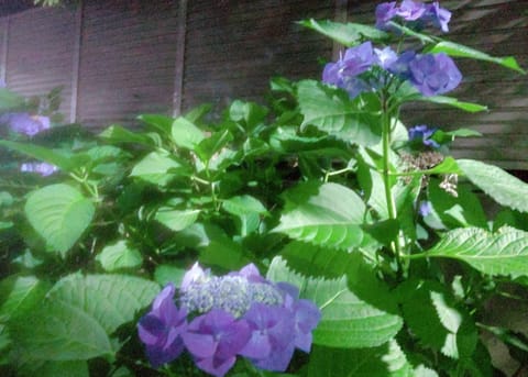 こんばんは⭐️
今月も残り僅か🙂

この数日も御担当時に様々な喜ばしくもありがたき御言葉を頂けました🙏

ふと、著名人方