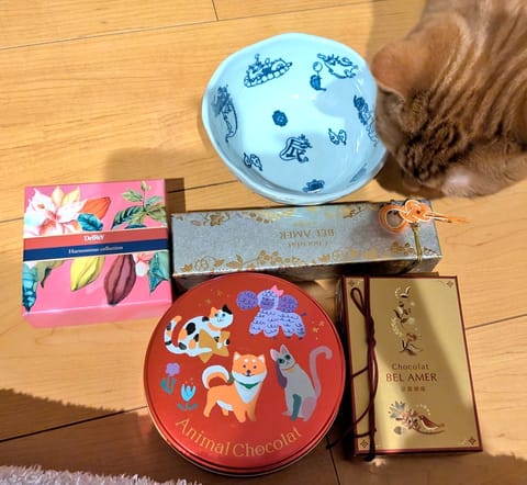 Sさん、いつもありがとう🐱✨
チーズケーキはすぐに食べたよ(*^^*)