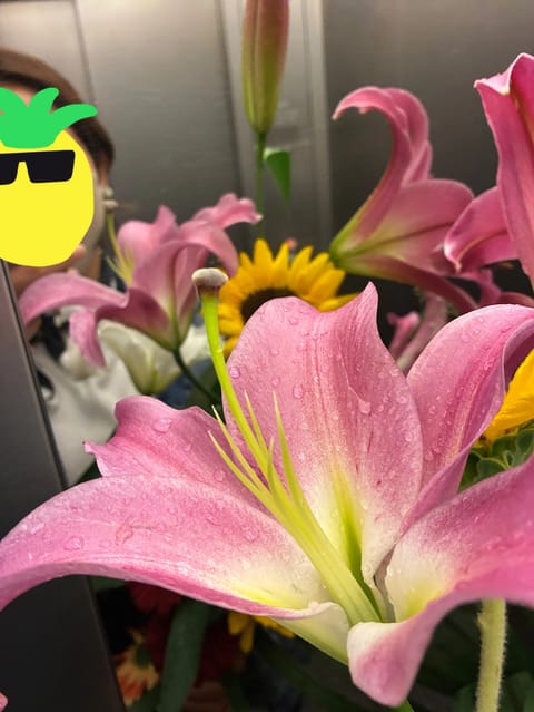 おはようございます🌞
本日10:00〜18:00
出勤です🫡✨🌻

開店祝いのお花を欲張りすぎて森みたいになってきた🤣🩷