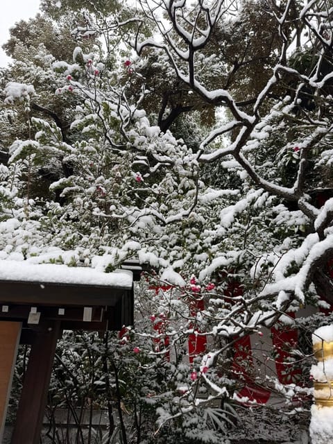 昨日は毎年行ってる神社に行ってきた🤍都内もすごい雪降ってたけどたくさん人がいたなあ