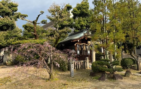 きのうまでのお墓参り7日間チャレンジが無事に終わり、今日は久々に神社にお参り😊

桜が咲いていると、いつも以上に趣が増し