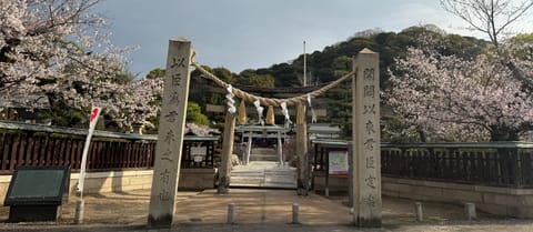 きのうまでのお墓参り7日間チャレンジが無事に終わり、今日は久々に神社にお参り😊

桜が咲いていると、いつも以上に趣が増し