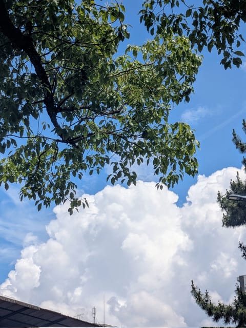 夏⁉️💦💦

明日は雨予報☔

外出の際はお気を付けて下さいね🙇‍♀