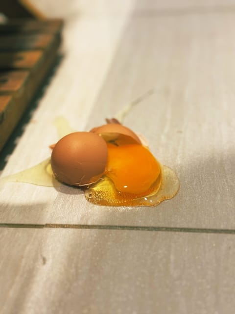 えぇっ！？今から入れる保険があるんですか！？

( ´•̥̥̥ω•̥̥̥`)

事前のご予約を楽しみにがんばって卵掃除す