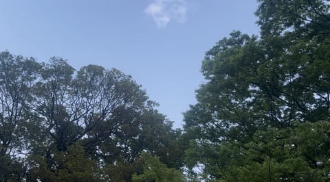 こんにちは！
今日も夜会えます♡
スタートご予約ありがとうございますᴗ   ᴗ
深夜ご予約お待ちしてます！

いい天気な