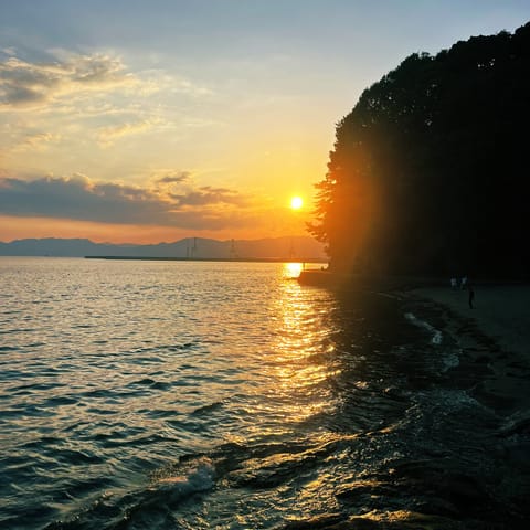 今週もありがとうございました☘️

今日はレイキ開始３分ちょっとでスヤスヤ寝息が聞こえてきて、だんだん本格的におやすみに