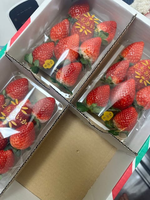 aさん！
会えて良かったです(˶' ᵕ ' ˶)
とても奇跡✨いちごも沢山ありがとう🍓
ゆっくりと、🐌