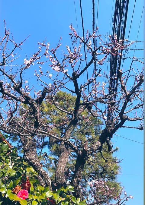 こんばんは🌝
今週の出勤は明日🌼

2/22(月) 13:00-20:00 303号室
2/25(木) 13:00-21
