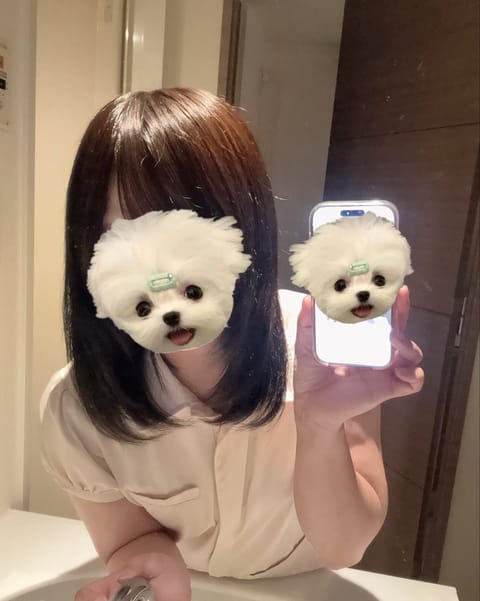 こんばんは🌙🧸はやてですっ！

19:00~22:00よろしくお願いします♡
20:30~👌´-です・・・!

ブログも
