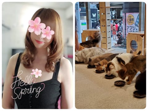 こんばんは😊✨
来週のシフトをお知らせ致します❣

3/28(月) 12時～19時
    🌹浦和西口🌹

今日は初の猫