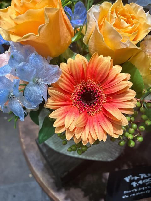 夏色のガーベラ🌼😍😭🩷🧡💛
よだれダラダラ出るほど見惚れてしまった🤤この可愛さ反則です😤

さて、最終日残り5時間⏳
ア