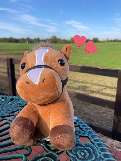 あけましておめでとうございます✨✨
仲良しさんたちから
たくさんあけおめ届いてた- 🎁 -

いつも本当にありがとうだよ