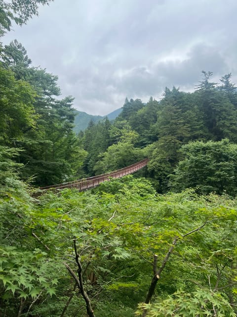この間お友達と自然行ってきた〜
ずーっと東京いるとたまに緑恋しくなるの🕊‪🌱‬

魚釣りもしたけど 
私だけ1匹しか釣れ