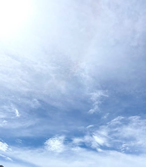 晴れましたねー☀️

一気に蒸し暑くなりそう🫠

お部屋涼しくしてお待ちしてます♡♡