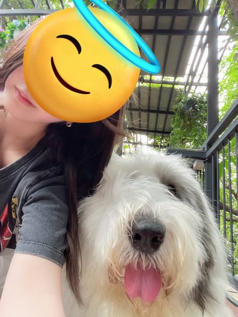 でかいぬ🐶