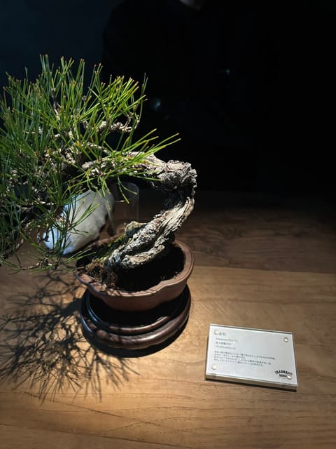 いけてる茶屋🍵