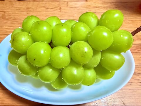 本日事前のご予約で
満員御礼です🈵✨

いつもありがとうございます☺️✨🐥

昨日食べたブドウが
ど〜ってもおいしかった
