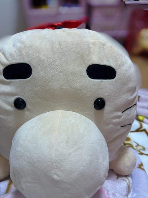 昨日は本指名のお兄さんたちと初めましてのお兄さんありがとうございました🥰
旅行の話楽しかったです✨

２日連続で出勤です