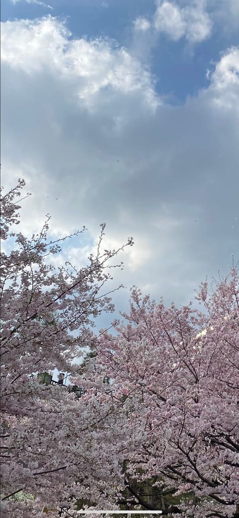 きょうもずっとニヤニヤしておりましたたのし暖かい幸せ時間でした🌙🐶
良い夜を…おやすみなさい😴⭐
.
.
.