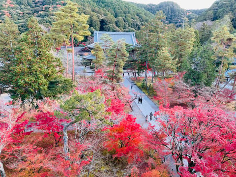 三連休ですね！
皆さん紅葉とか見に行くんですか？

私は今年も12月に紅葉見に行く予定です

写真は去年の南禅寺🍁

「