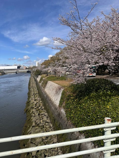 美しい時間が短すぎる桜🌸
突然ですが本日13時から出勤です