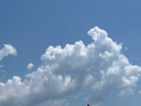 おはようございます☀️

週の折り返し、そろそろ疲れが出る頃ですね🥹
暑さも相まって、いつも元気な私もさすがに体力奪われ