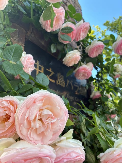こんにちは🌞
一件目のピンポンで思わぬアポが取れてしまい、午前中で2件もアポが取れてしまいビビっている🫣
前職もやけど、