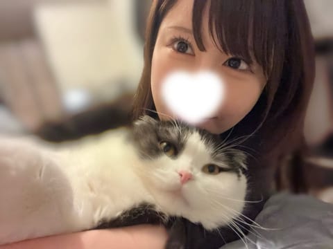 猫大好き❕猫ちゃんの話になったとき去年旅立ってしまったと言うとどうしてもしんみりさせてしてしまうのですが、私の心の中で生