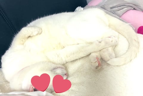 皆様ご機嫌よう🫡暖かくなり🚶‍♀️🌸お出かけが気持ち良くなりましたね。本指名様、初めまして様ありがとうございます🙏
本日