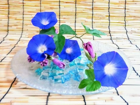 こんにちは！
台風が近づいているみたいですね🌀
暑さもちょっと一休み＿(　_´ω`)_ﾌｩ
今日も短いお時間ですが17:
