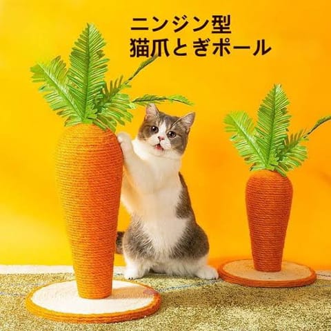 こんばんは🙌
明日久しぶりに出勤いたします🤎
15:00〜22:00までです😌

昨日は2月22日…猫ちゃんの日だったの