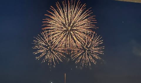 花火やってますね🎆
来週は
29日（月）18-23
31日（水）18-23
8/4（日）12-19
出勤予定です🌼

お