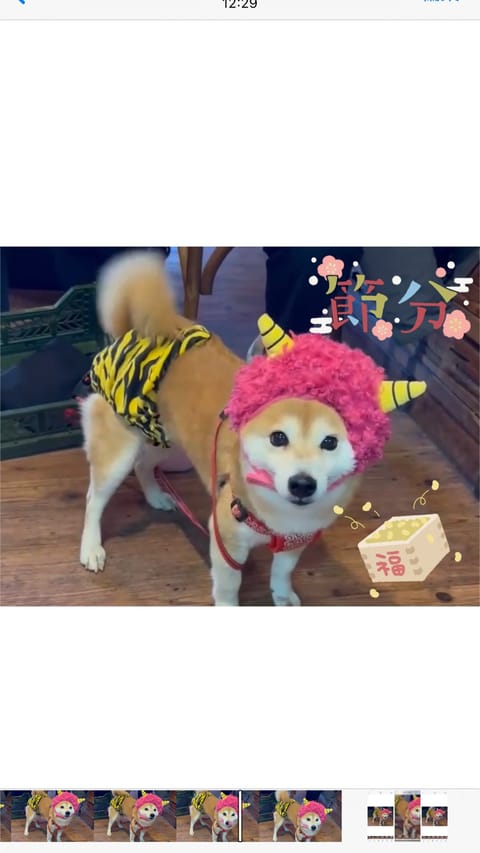 先週もリピ様、初めまして様ありがとう😊
幸せーと言ってもらえてこちらもほっこりしましたよ
☘️今週のシフト☘️
4(火)