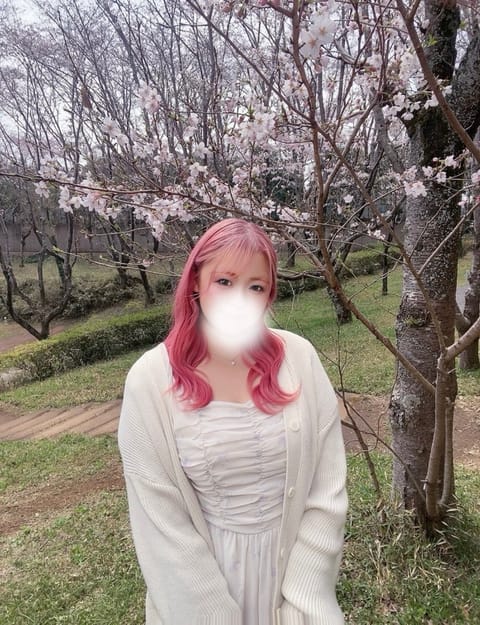 春終わっちゃったかな
みんなは花見できた？🌸🍻