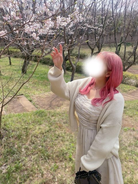 春終わっちゃったかな
みんなは花見できた？🌸🍻