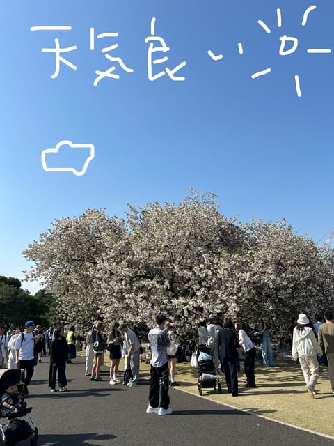あかり