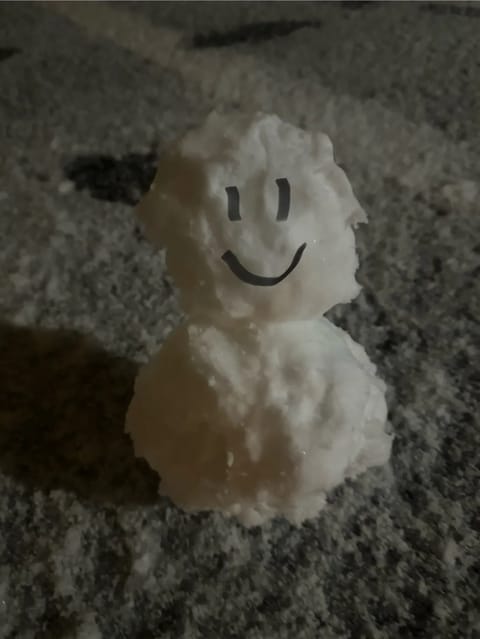 雪だ〜！⛄️
夜から積もり始めてるのを見てワクワクして眠れなくて、
朝5時にわんちゃんと雪遊びしたんだ🐻‍❄️

早朝だ