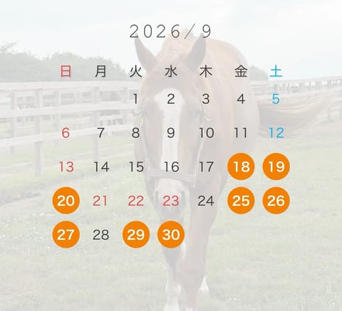 9月後半もよろしくお願いします🦋

大好きな馬と共に、、、🐎
こちらはケイティブレイブです！中央では優勝してませんが地方
