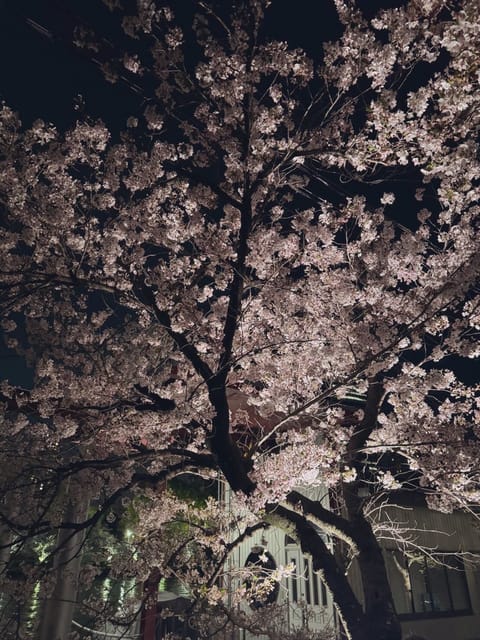 皆様ご機嫌よう🫡本指名様♡初めまして様楽しいお時間ありがとうございました♡また、色々挑戦あるのみと思いました。素敵なお時