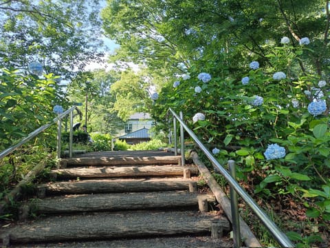 四国中央市に1時間かけて行ったのにすでにカラカラの紫陽花しかなかった…🥺なので別の場所に行ったけど見頃終わってましたね😭