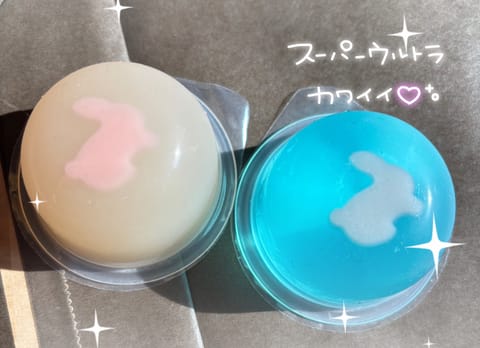 この前仲良しお兄さんがくれたゼリー✨✨

後ろにウサギが2匹いた~！🐰♡
可愛いすぎるありがとうございます💖
めちゃくち