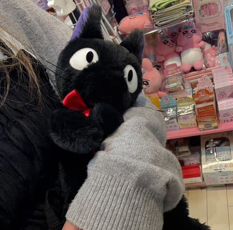 おはよ~🥱

今日はお買い物に来てました･:*

みてみて〜❕❕

ジジの人形🐈‍⬛🪄

ジブリの中でも魔女の宅急便が一