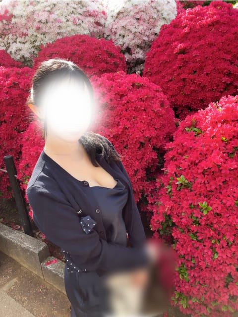 ツツジ見に行きました！！！
そしたらセクシーおねぇさんになってた笑
マイファンズ始めようか迷い中💭