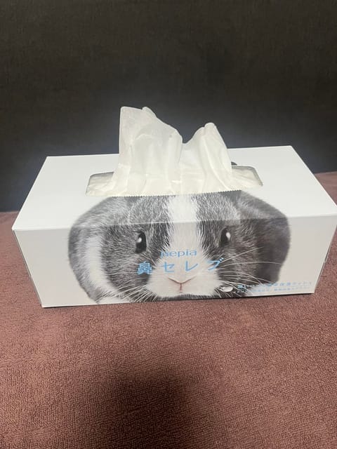 本日満了🈵となりました！
ご予約ありがとうございました！😊
まだまだ19時までがんばるぞー💪🏻

写真は花粉症のお供の鼻