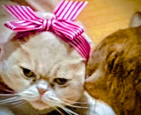 Sさん、素敵なバレンタインありがとう🍫デルレイ、美味しかった！😻